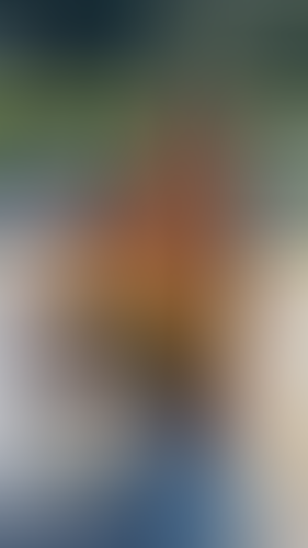 Blurred content preview
