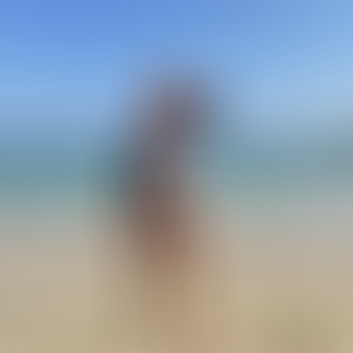 Blurred content preview