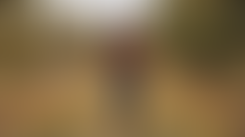 Blurred content preview