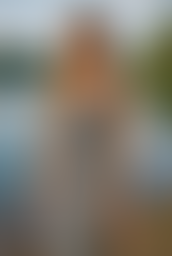 Blurred content preview