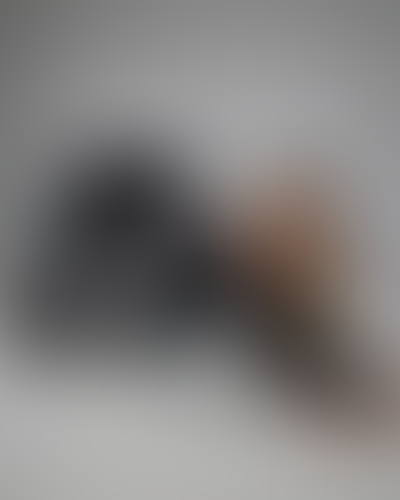 Blurred content preview