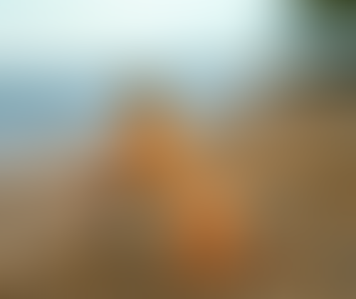 Blurred content preview