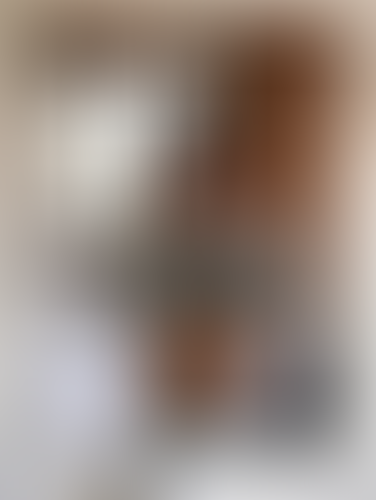 Blurred content preview