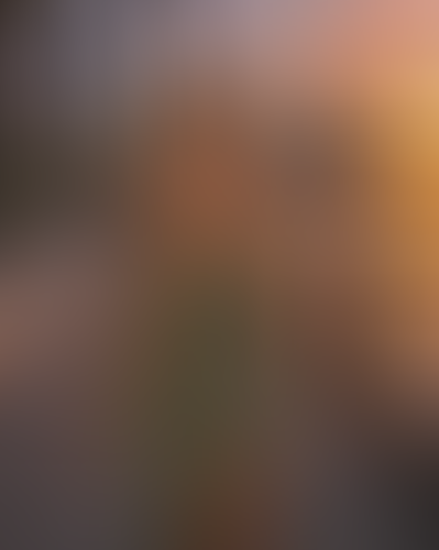 Blurred content preview