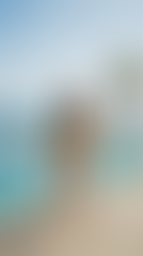 Blurred content preview