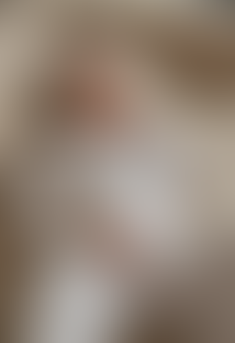 Blurred content preview