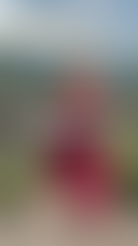 Blurred content preview