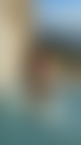 Blurred content preview