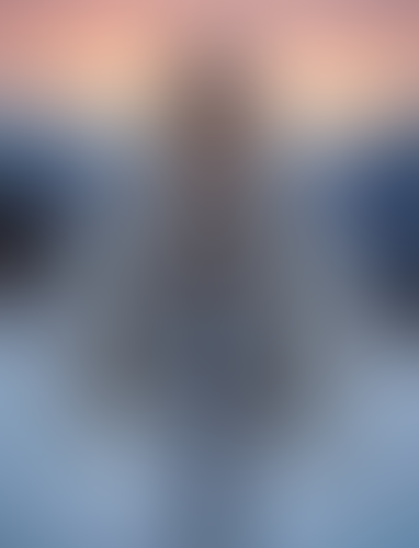 Blurred content preview