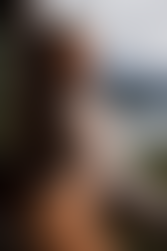 Blurred content preview