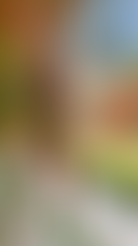Blurred content preview