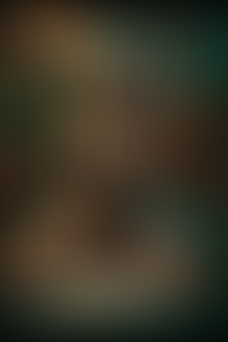 Blurred content preview