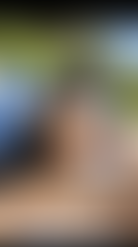 Blurred content preview
