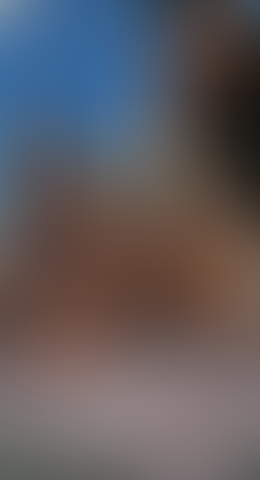 Blurred content preview