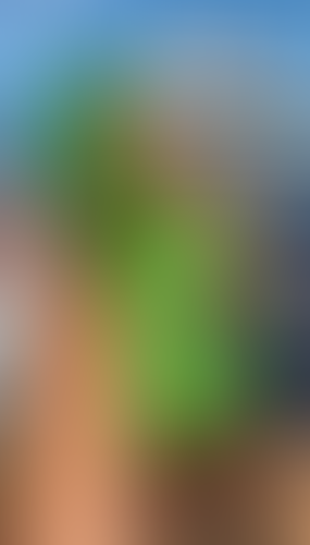Blurred content preview