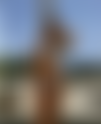 Blurred content preview