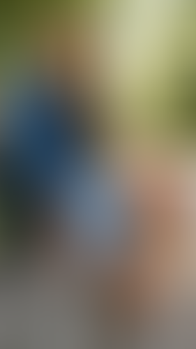 Blurred content preview