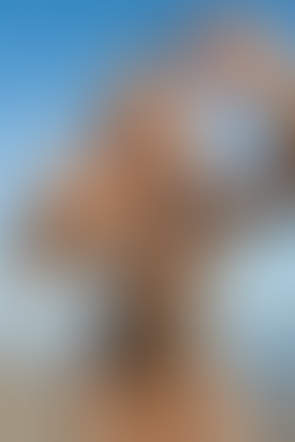 Blurred content preview