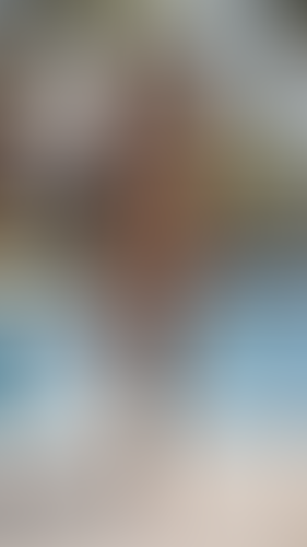 Blurred content preview