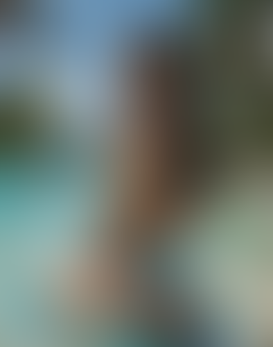 Blurred content preview