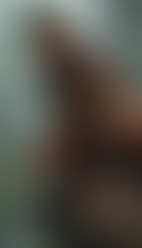 Blurred content preview