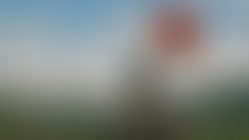 Blurred content preview
