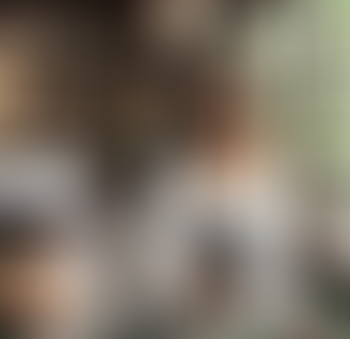 Blurred content preview