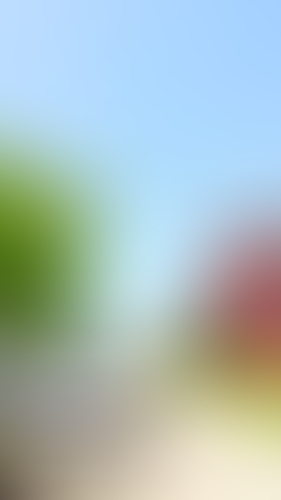 Blurred content preview