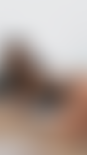 Blurred content preview