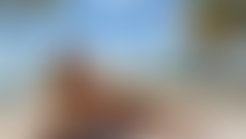 Blurred content preview