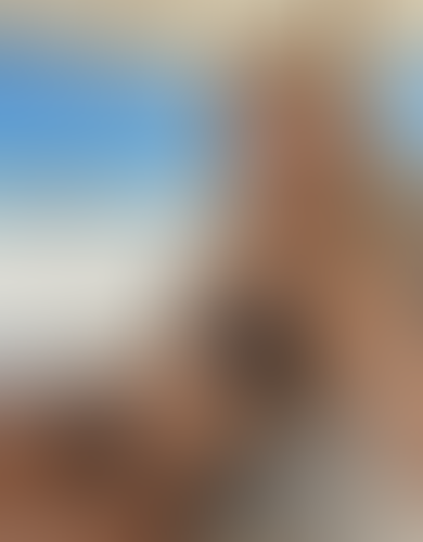 Blurred content preview