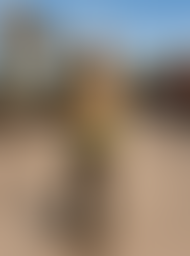 Blurred content preview