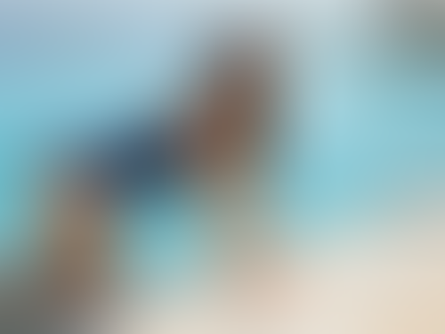 Blurred content preview