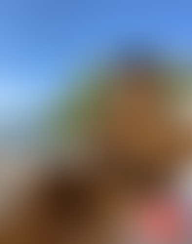 Blurred content preview