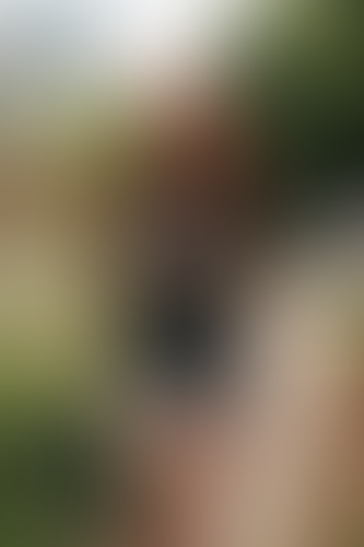 Blurred content preview