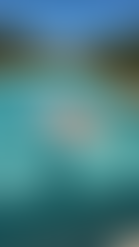 Blurred content preview