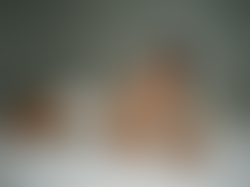 Blurred content preview
