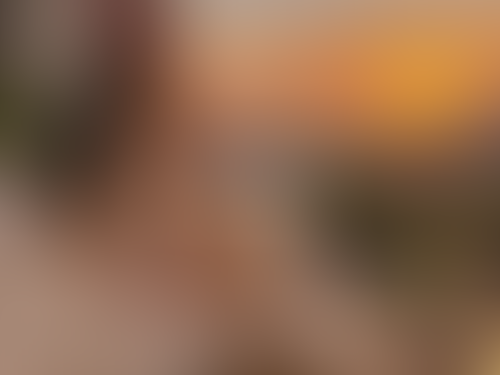 Blurred content preview