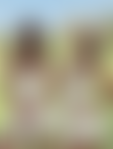 Blurred content preview