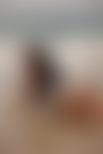 Blurred content preview