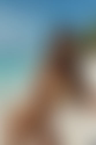 Blurred content preview