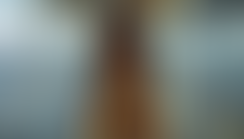 Blurred content preview