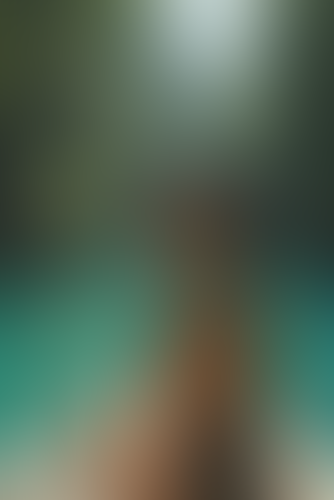 Blurred content preview