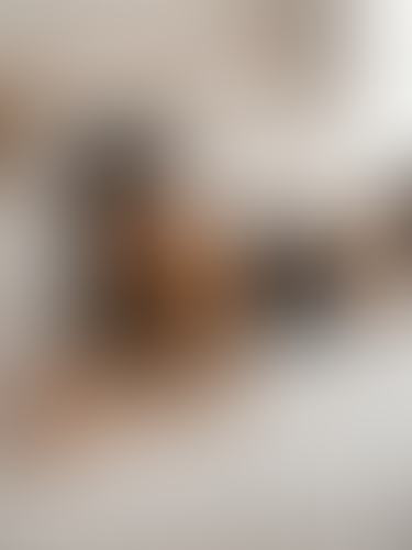 Blurred content preview