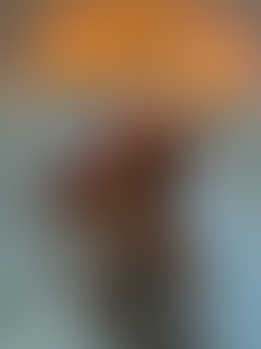 Blurred content preview
