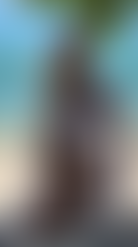 Blurred content preview