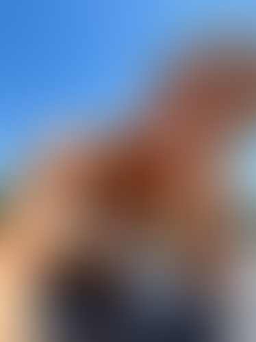 Blurred content preview