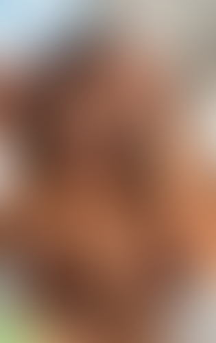 Blurred content preview