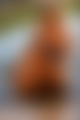 Blurred content preview