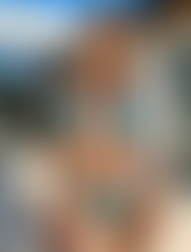Blurred content preview